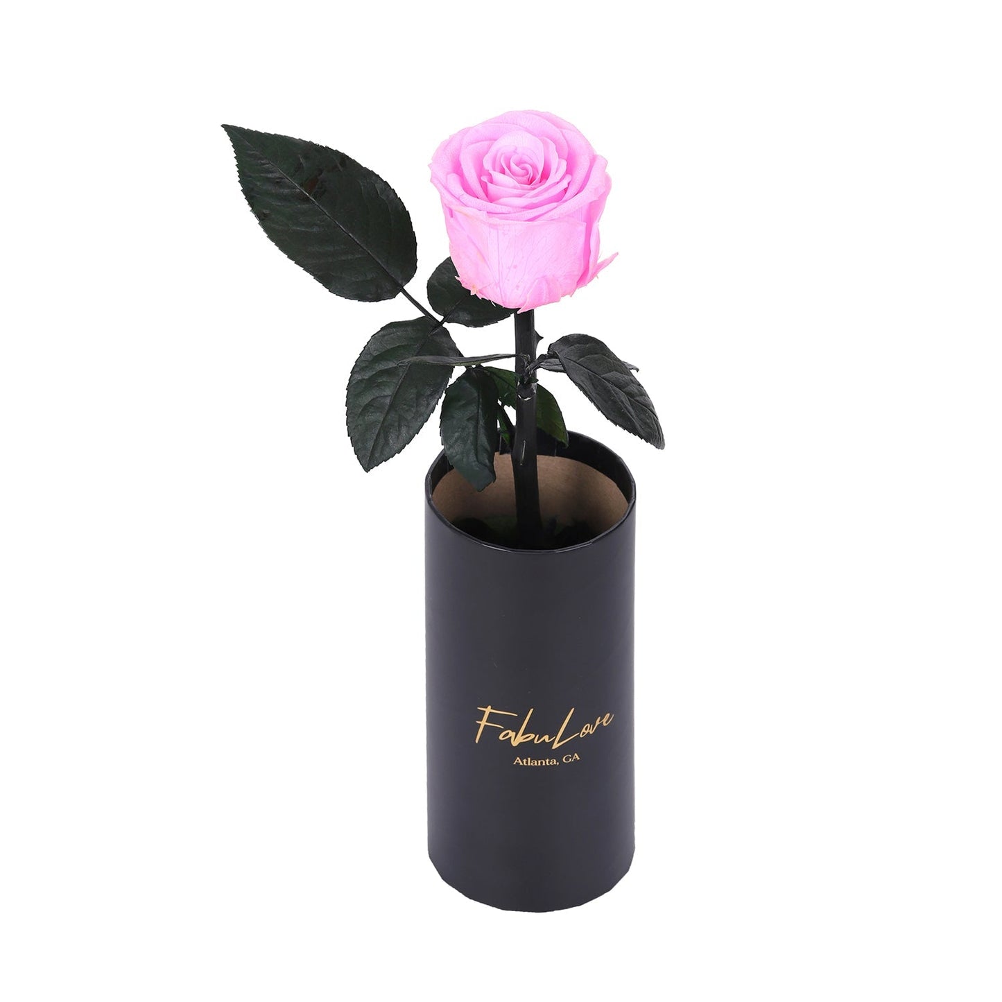 Klasyczna Jedna Wieczna Róża