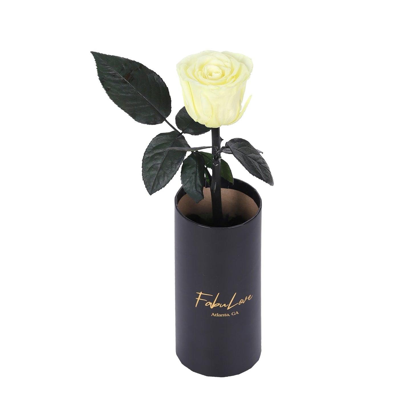 Klasyczna Jedna Wieczna Róża