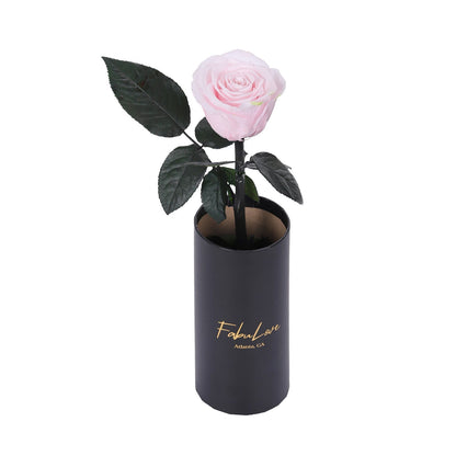 Klasyczna Jedna Wieczna Róża