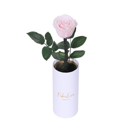 Klasyczna Jedna Wieczna Róża